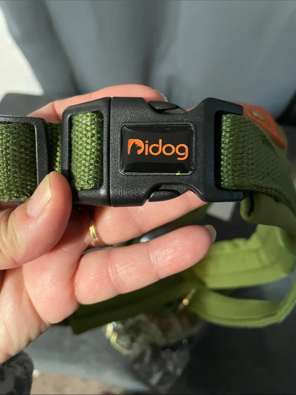 Olive Green & Orange Dog Harness and Leash Set